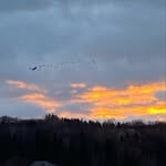 Léo Daigle - @leodaigle1 - Instagram