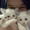 darlingvleo - @darlingvleo - TikTok