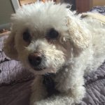 Leo Davidson - @mrleo1328 - Instagram