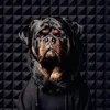 Leo_DeaN - @leo_dean0 - TikTok