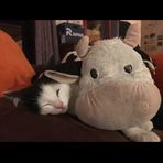 Léon Demarest - Facebook