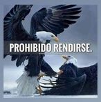 Leo Denis - Facebook
