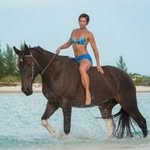 Leo Devillers - @leodevillers - Instagram