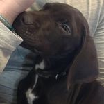 Leo Devlin - @leo_gsp_ - Instagram