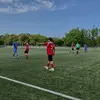 leodewitte8 - @leodewitte8 - TikTok