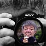 Leo Dick - @pixelleo_1 - Instagram