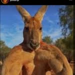 Léo Didier - @leo_didier_ - Instagram