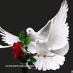 Léo Didier - @leodidier964 - Instagram
