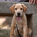 Leo Darr - Facebook