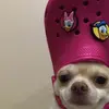 leo♌ - @leoodirra - TikTok