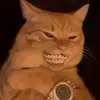 Lẽõdrãķę 🤑 - @17leodrake - TikTok