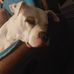 Leon Driscoll - Facebook