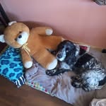 Michelle O'Driscoll - @michelleodriscoll765 - Instagram
