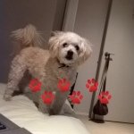 Leo - @leo.duffy - Instagram