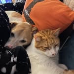 Austin and Leo - @austinandleodurham - Instagram