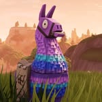 leodutton - @leodutton8 - Instagram