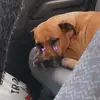 Leonie02Dutton - @leonie02dutton - TikTok