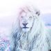 Leo Edge - Facebook