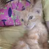 Jasmine.elliott28 - @leo.elliott28 - TikTok