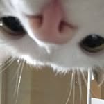 Leo - @leo_elliottboi - Instagram