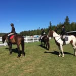 Léo~Ély~Mia - @3_girls_3_horses - Instagram
