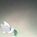 Leo Erickson - Facebook