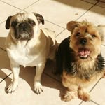 Léo e Thierry - @leoethierry - Instagram