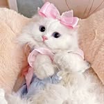 meowww - @leo__fairy - Instagram