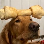 Leonard Rufius Henry Faubion - @litlifeofleo - Instagram