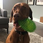 Leo Fehr - @leo.fehr - Instagram