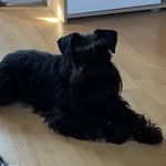 Leo_fehrenbach - @leo_fehrenbach_ - Instagram