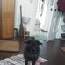 Leo Field - Facebook
