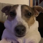 Leo finch - @leofinch76 - Instagram