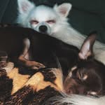 Leo, Fine & Luis - @leo_fine_luis - Instagram
