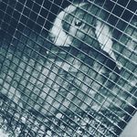 leonie flaherty - @leonieflaherty5764 - Instagram