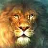 user4070276354933 - @leo__friend - TikTok