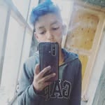 weird wolf - @l.e.o__f.r.i.e.n.d - Instagram