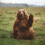 Leo Fulmer - @leadf411 - Instagram
