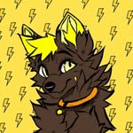 ⚡Faísca⚡ - @leo_furrybr - Instagram