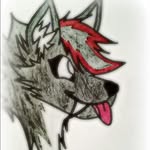 Leo - @leo_furry_paws - Instagram