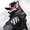 Лео - @leofurry1 - TikTok