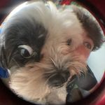 Leo Galindo - @thatchickenchalupaboi - Instagram