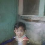 Leo Gans - @gans.leo - Instagram