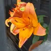 Leo Garner - @leo_garner - TikTok