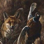 Leo Mc Garrity - @leomcgarrity - Instagram