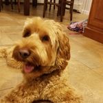Leo Gentry - @leo_gentry - Instagram