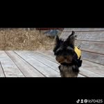 Léo Gingras - @gingras7274 - Instagram