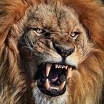 Leo Glass - @leo.glass.77 - Instagram