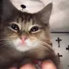 leo_glenn - @leo_glenn7 - TikTok
