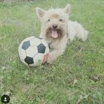Leon Göbel - @_.leon_goebel._ - Instagram